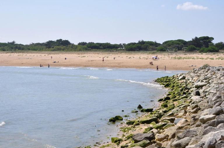 A 80M De La Plage De Plaisance Pour 8 Personnes Saint-Georges-d'Oleron Dış mekan fotoğraf